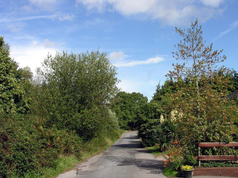 Abacus Bed And Breakfast, Blackwater, Hampshire Камбърли Екстериор снимка